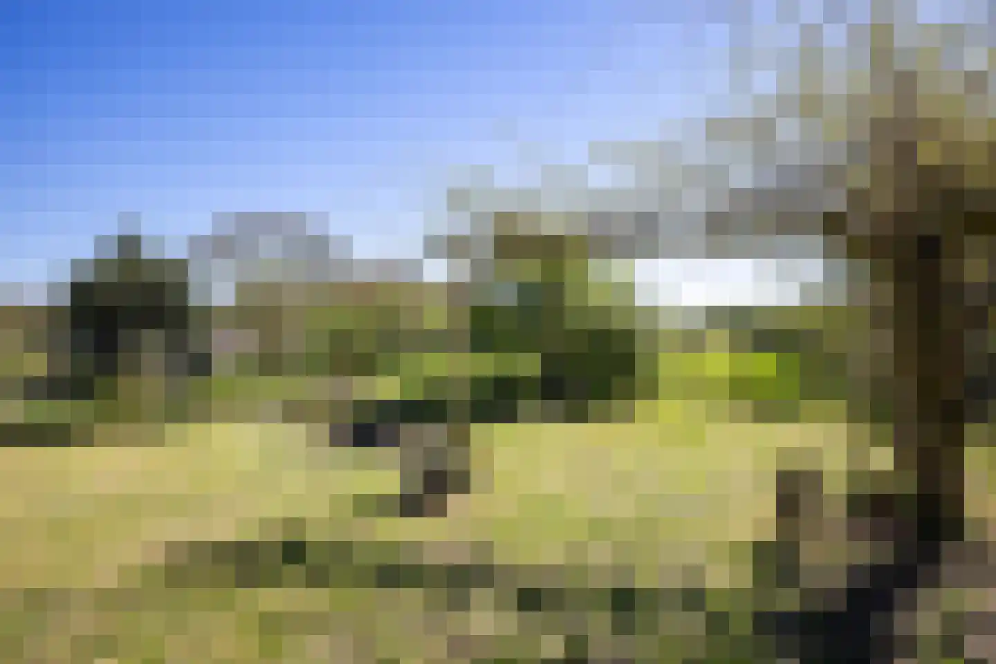 B.L. Tijdensweg 26 Vriescheloo thumbnail 44
