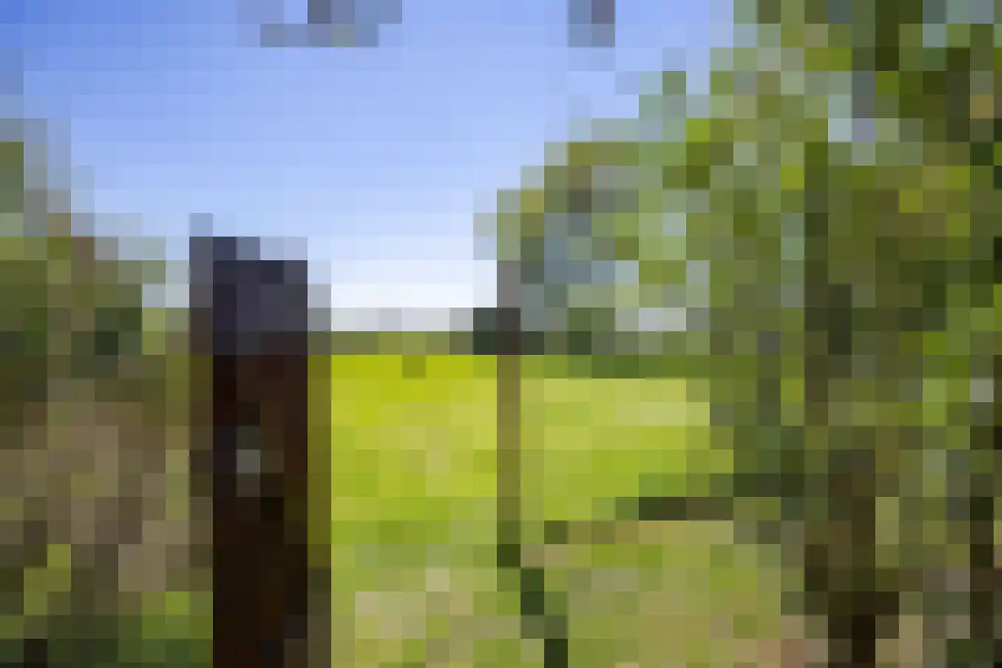 B.L. Tijdensweg 26 Vriescheloo thumbnail 45