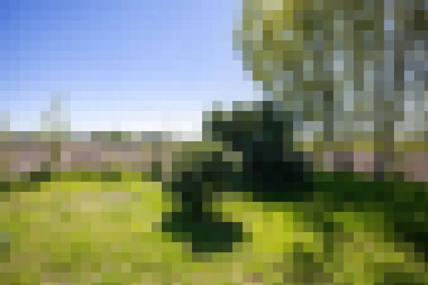 B.L. Tijdensweg 26 Vriescheloo thumbnail 47