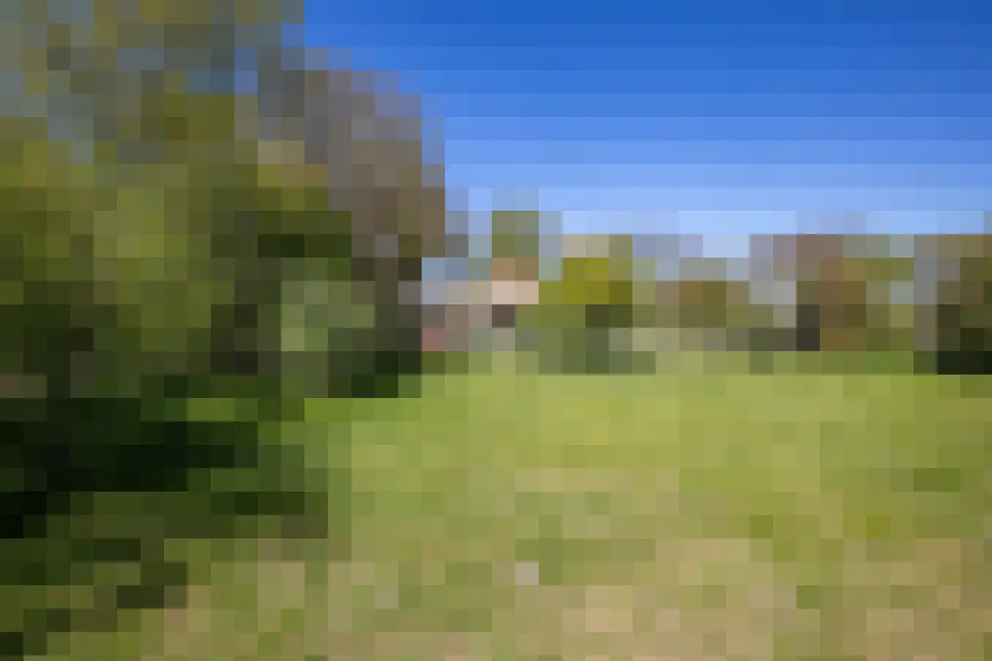 B.L. Tijdensweg 26 Vriescheloo thumbnail 48