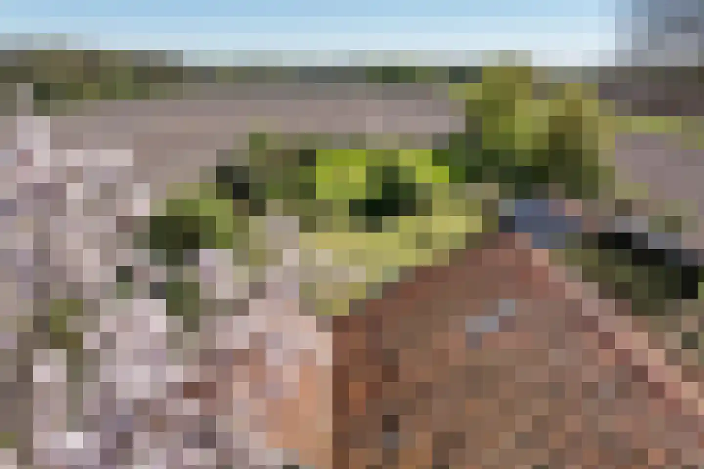 B.L. Tijdensweg 26 Vriescheloo thumbnail 50