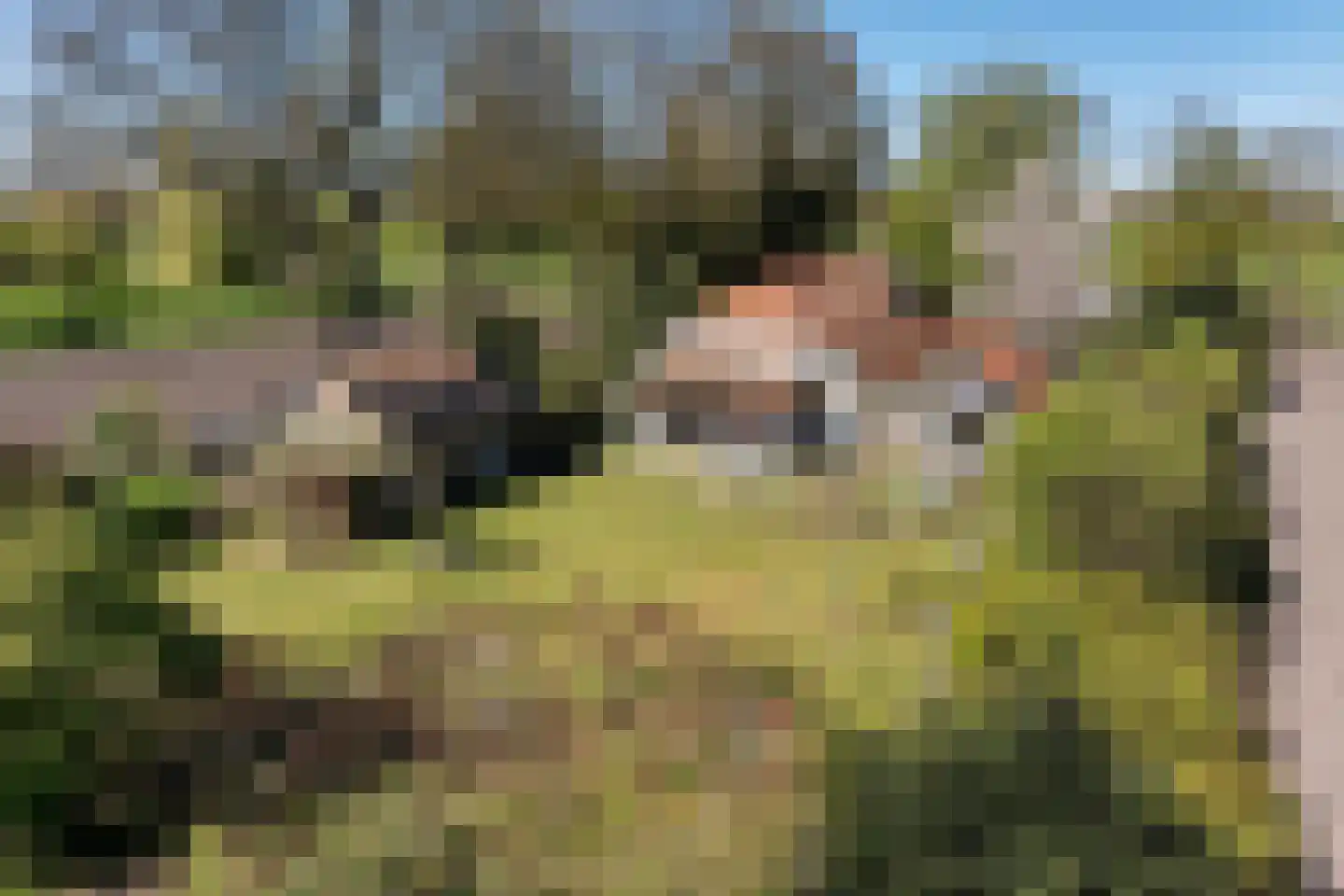 B.L. Tijdensweg 26 Vriescheloo thumbnail 51