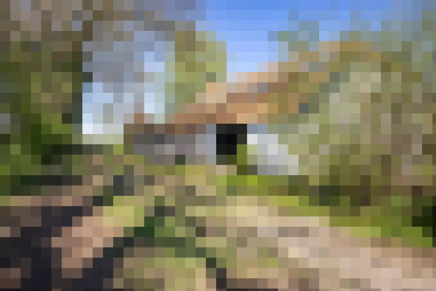 B.L. Tijdensweg 26 Vriescheloo thumbnail 53