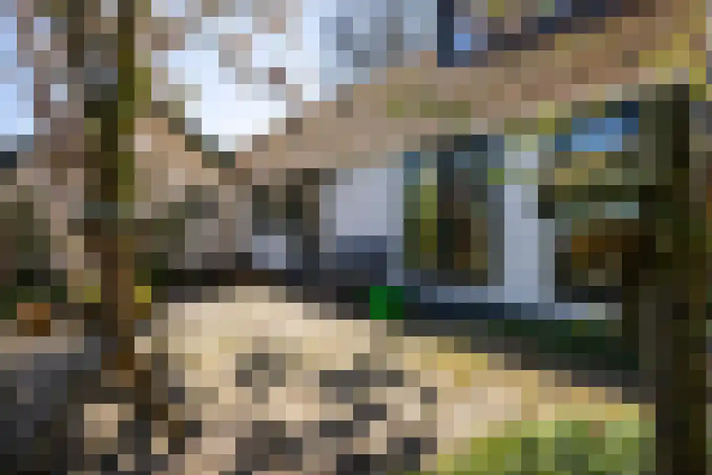 B.L. Tijdensweg 26 Vriescheloo thumbnail 55