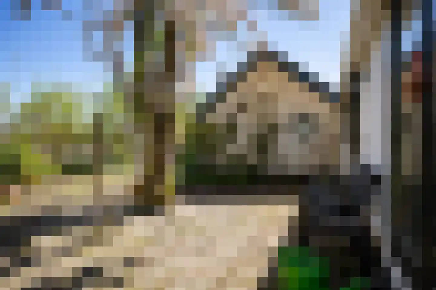 B.L. Tijdensweg 26 Vriescheloo thumbnail 56