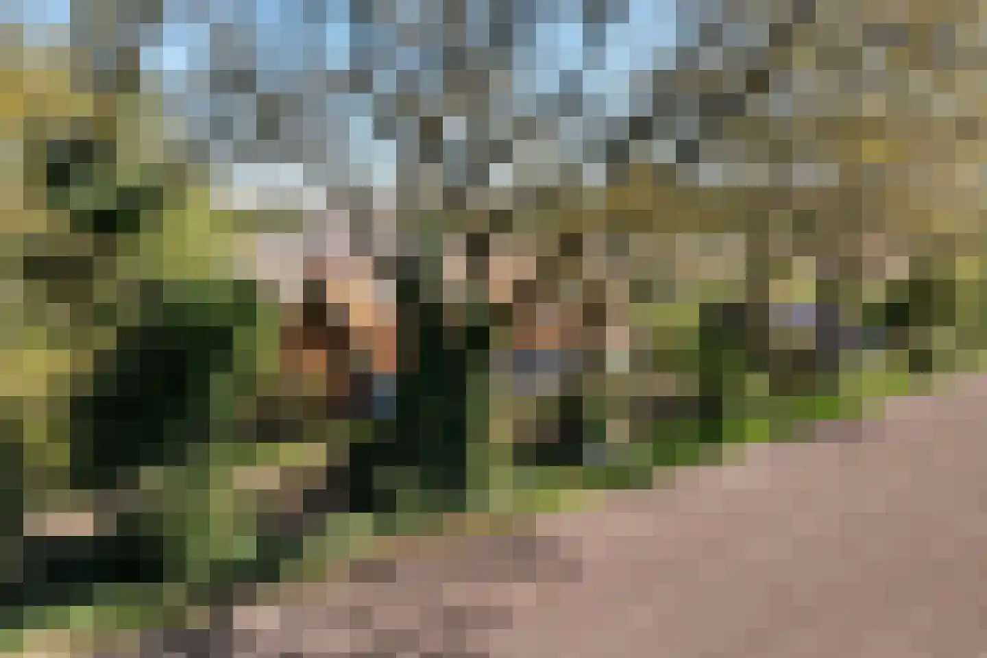B.L. Tijdensweg 26 Vriescheloo thumbnail 57