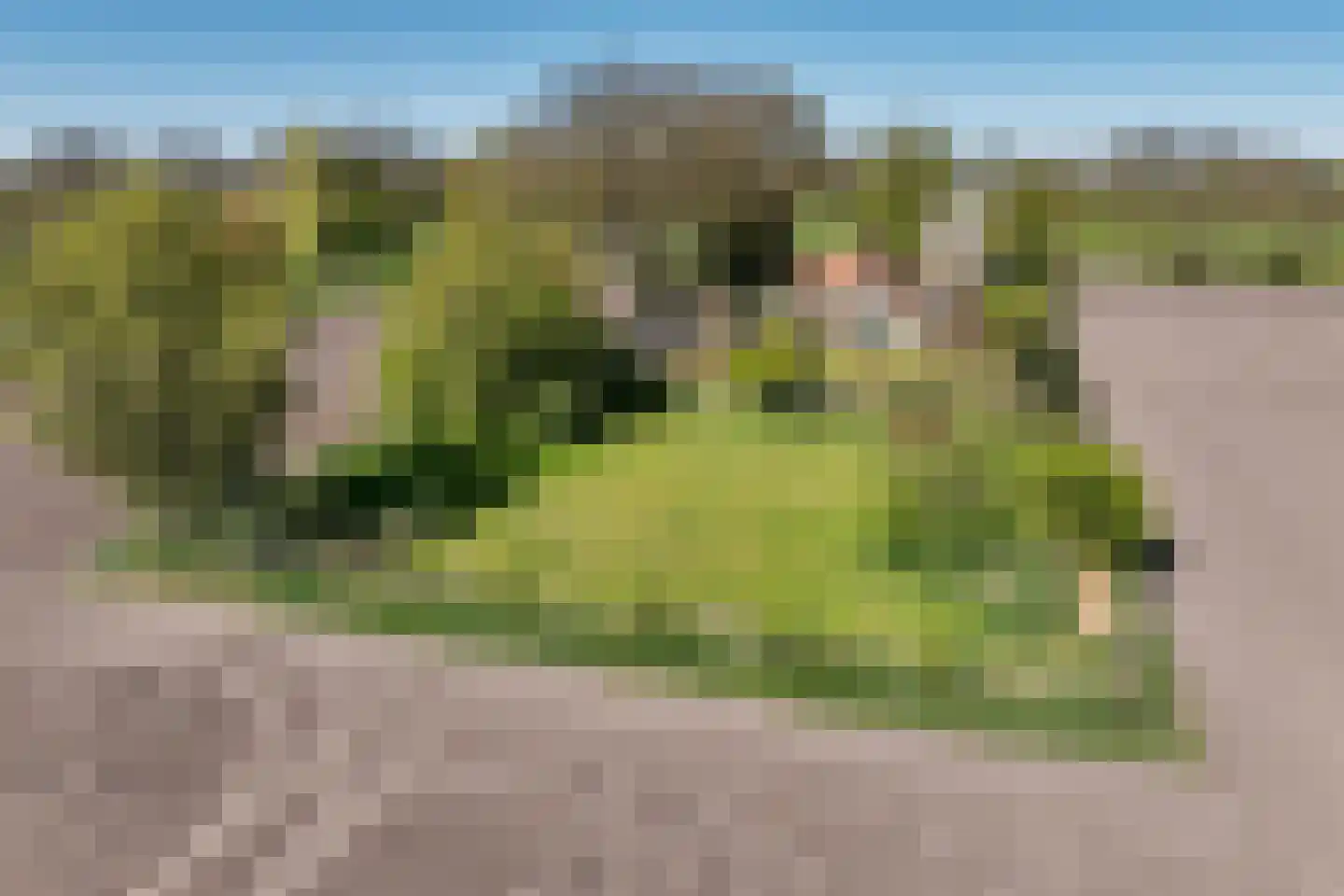 B.L. Tijdensweg 26 Vriescheloo thumbnail 58