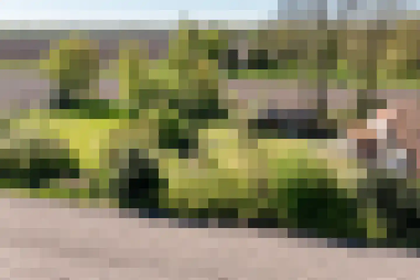 B.L. Tijdensweg 26 Vriescheloo thumbnail 59
