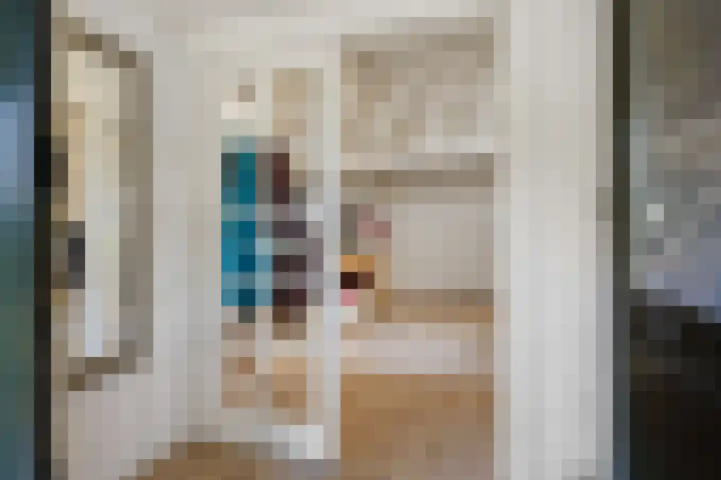 B.L. Tijdensweg 26 Vriescheloo thumbnail 6