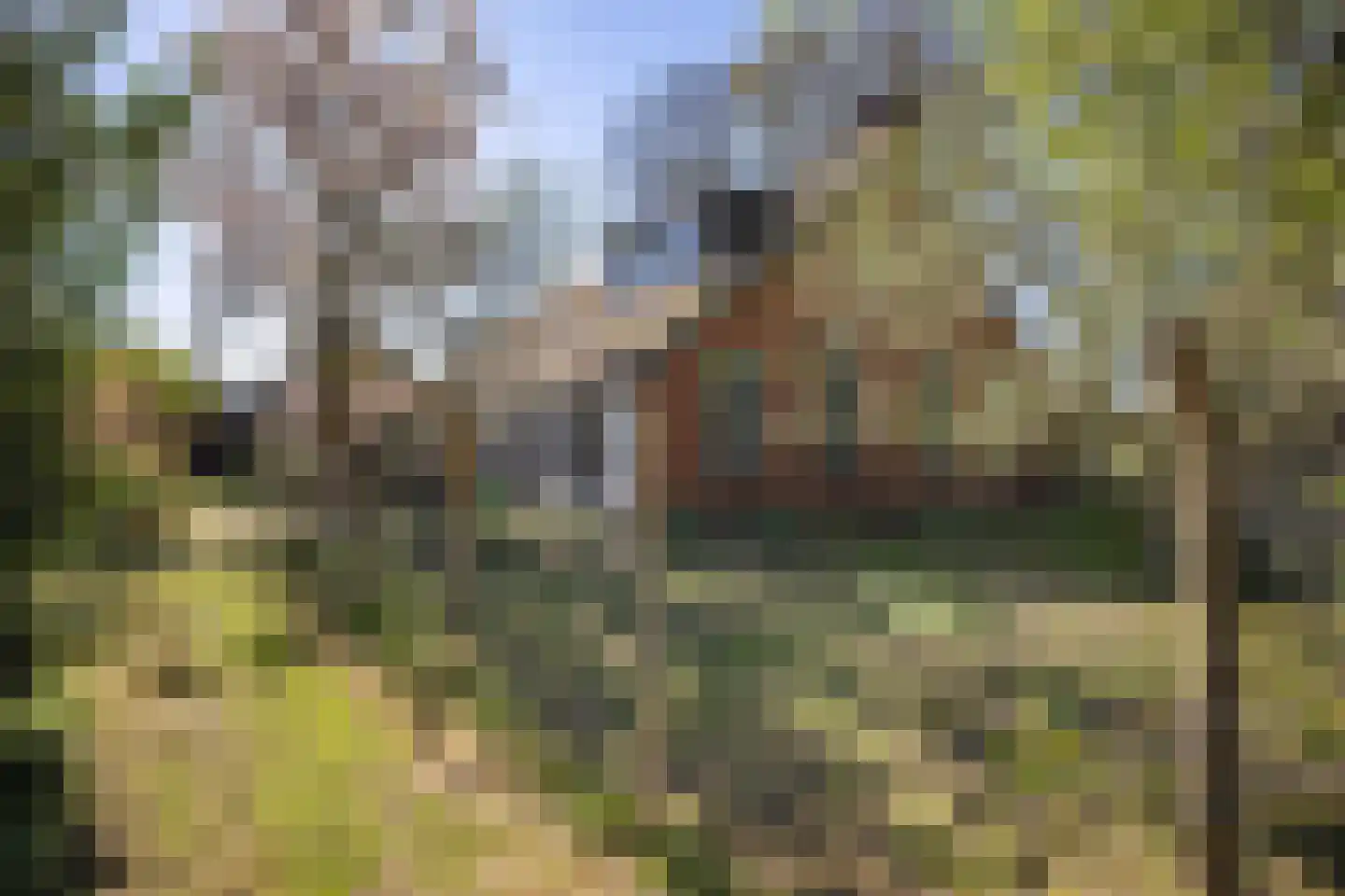 B.L. Tijdensweg 26 Vriescheloo thumbnail 60