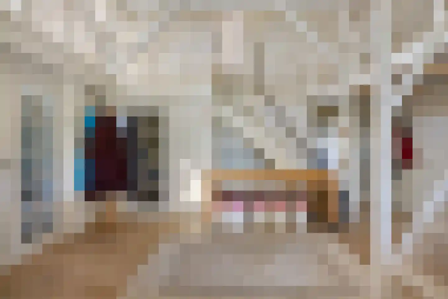 B.L. Tijdensweg 26 Vriescheloo thumbnail 8