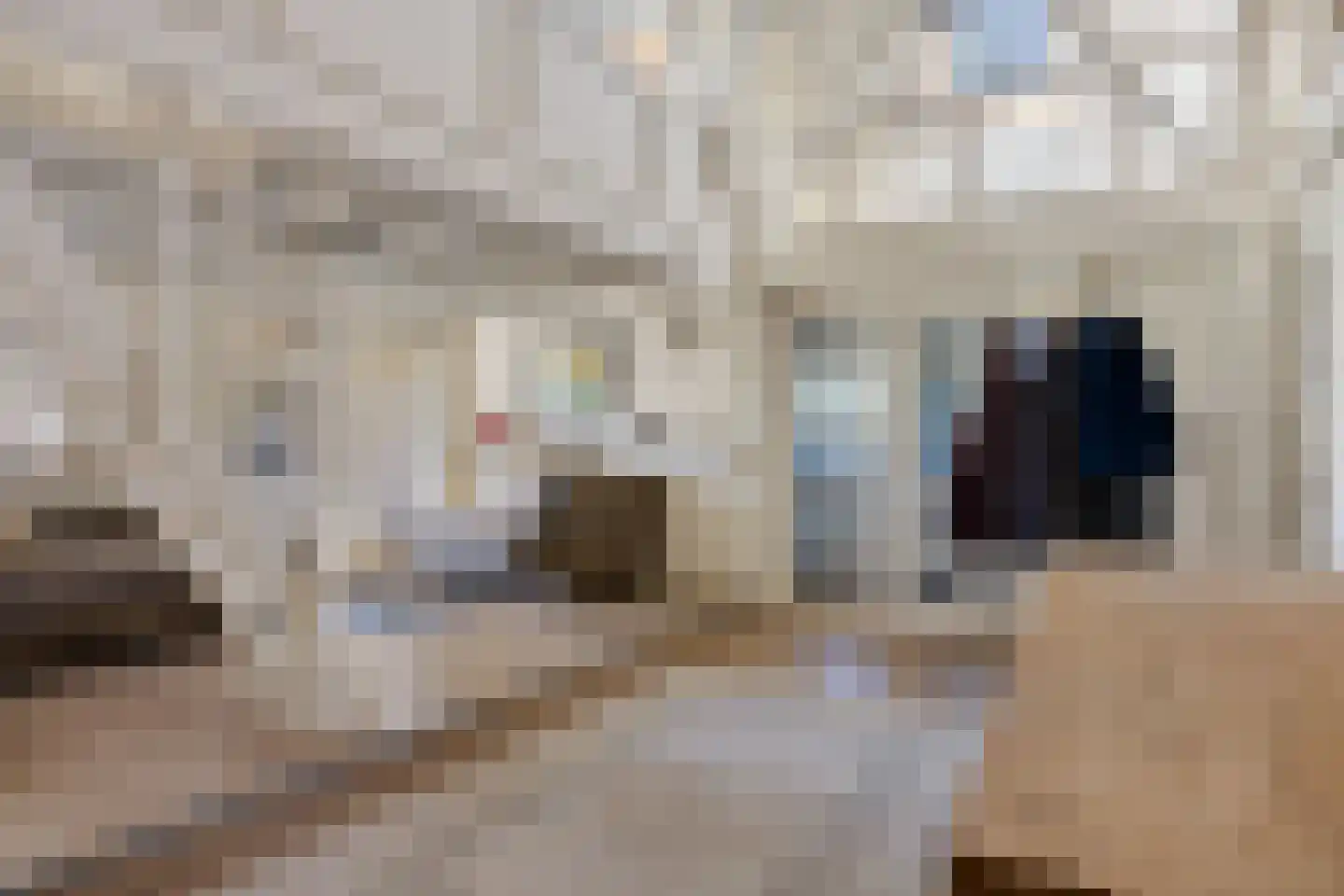 B.L. Tijdensweg 26 Vriescheloo thumbnail 9