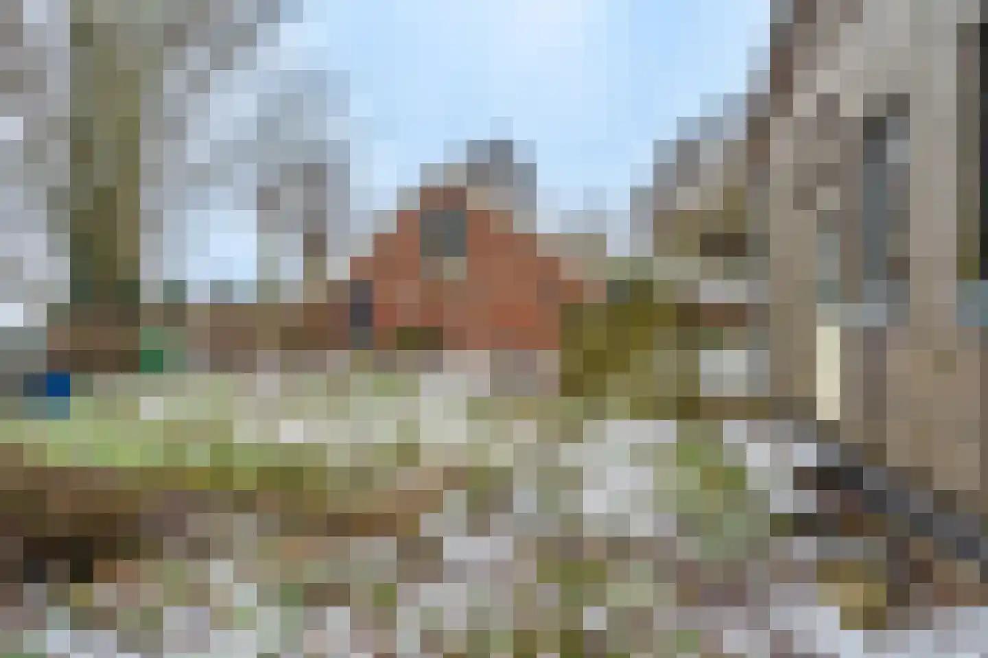 B.L. Tijdensweg 38 Veelerveen thumbnail 10