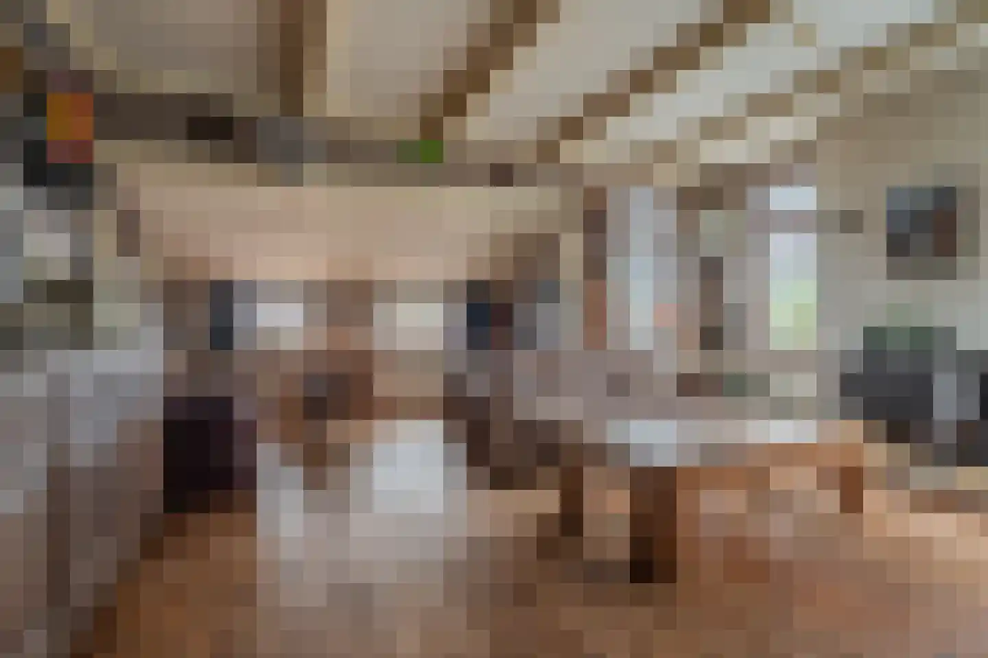 B.L. Tijdensweg 38 Veelerveen thumbnail 14