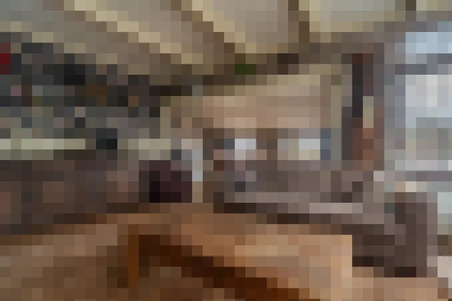 B.L. Tijdensweg 38 Veelerveen thumbnail 15