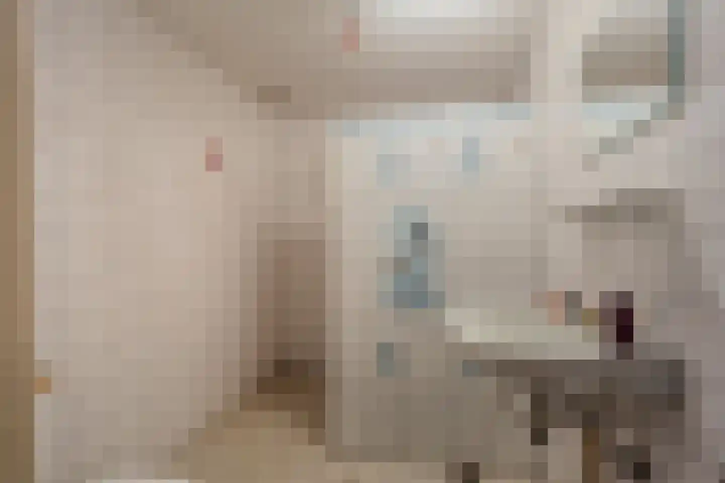 B.L. Tijdensweg 38 Veelerveen thumbnail 22