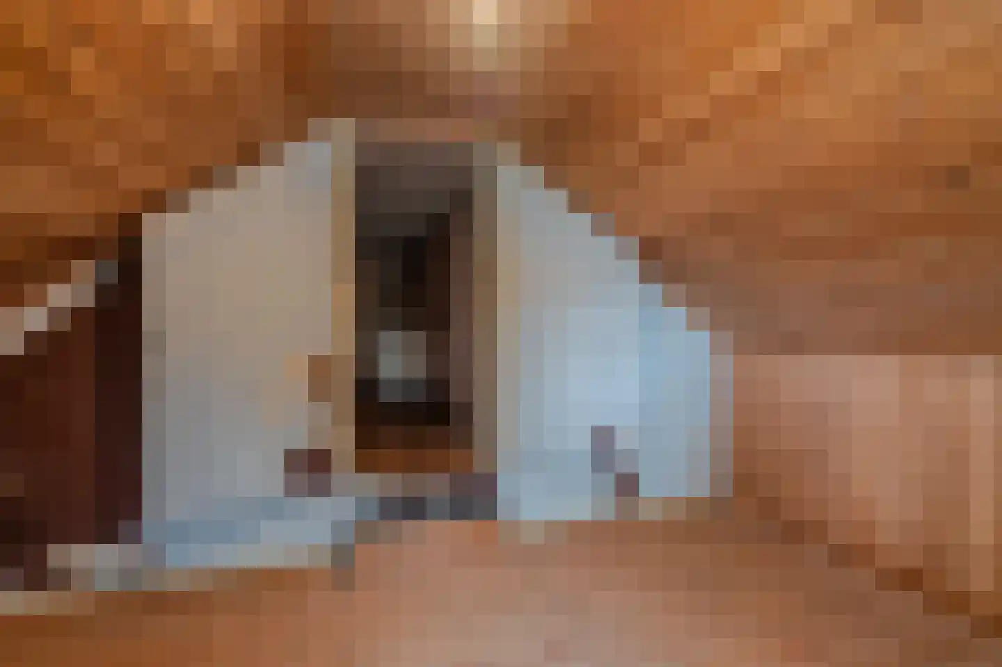 B.L. Tijdensweg 38 Veelerveen thumbnail 28