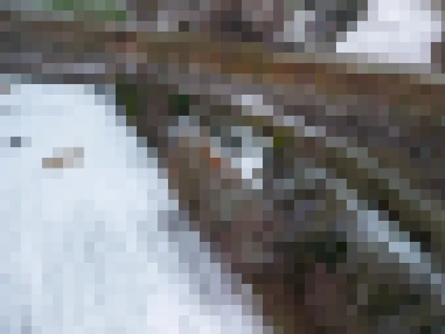 B.L. Tijdensweg 38 Veelerveen thumbnail 5