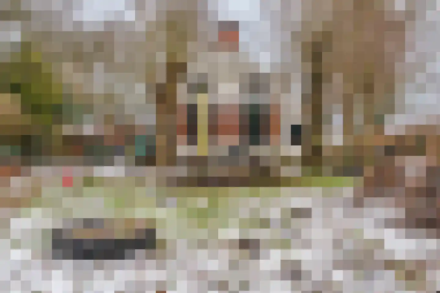 B.L. Tijdensweg 38 Veelerveen thumbnail 6