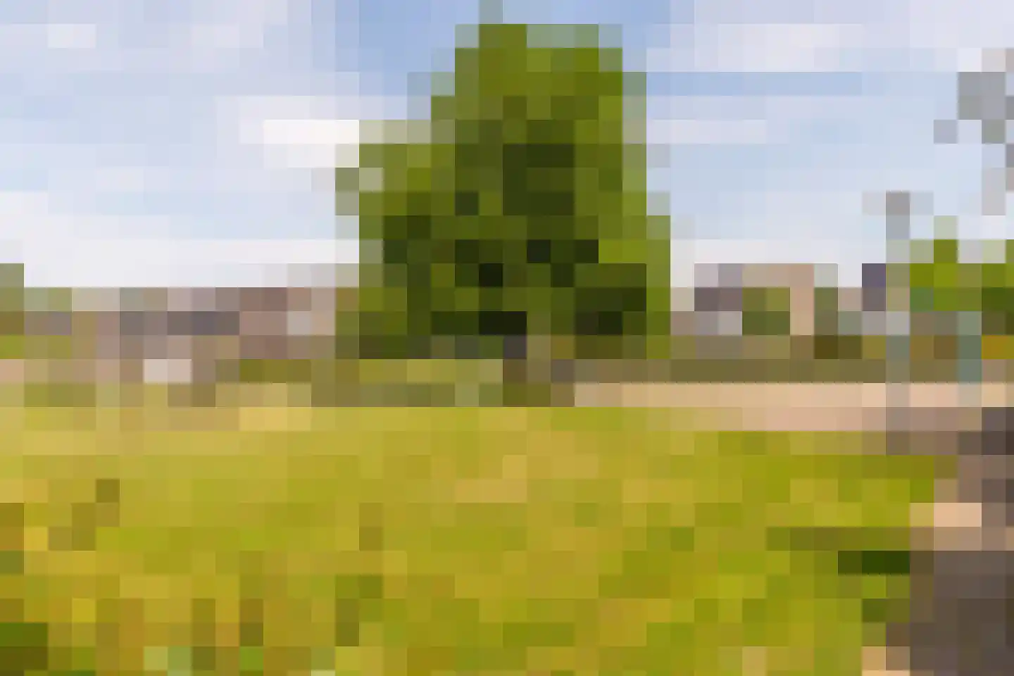 B. Merkelbachstraat 1 Almere thumbnail 38