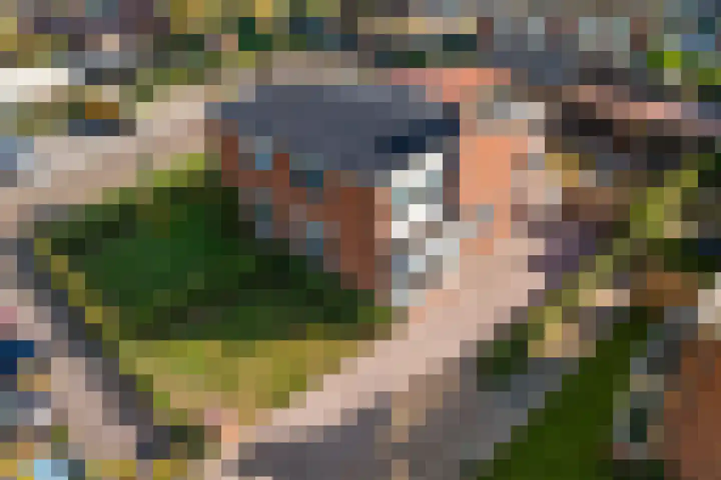 B. Nieuwenhuisweg 6 Nieuw-Weerdinge thumbnail 5