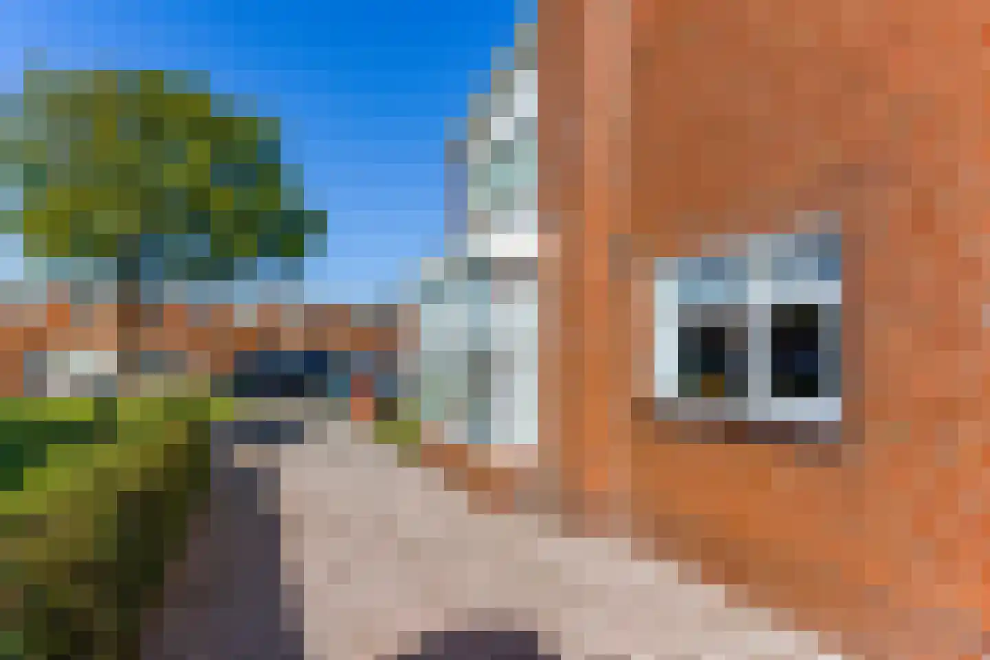 B. Nieuwenhuisweg 6 Nieuw-Weerdinge thumbnail 8