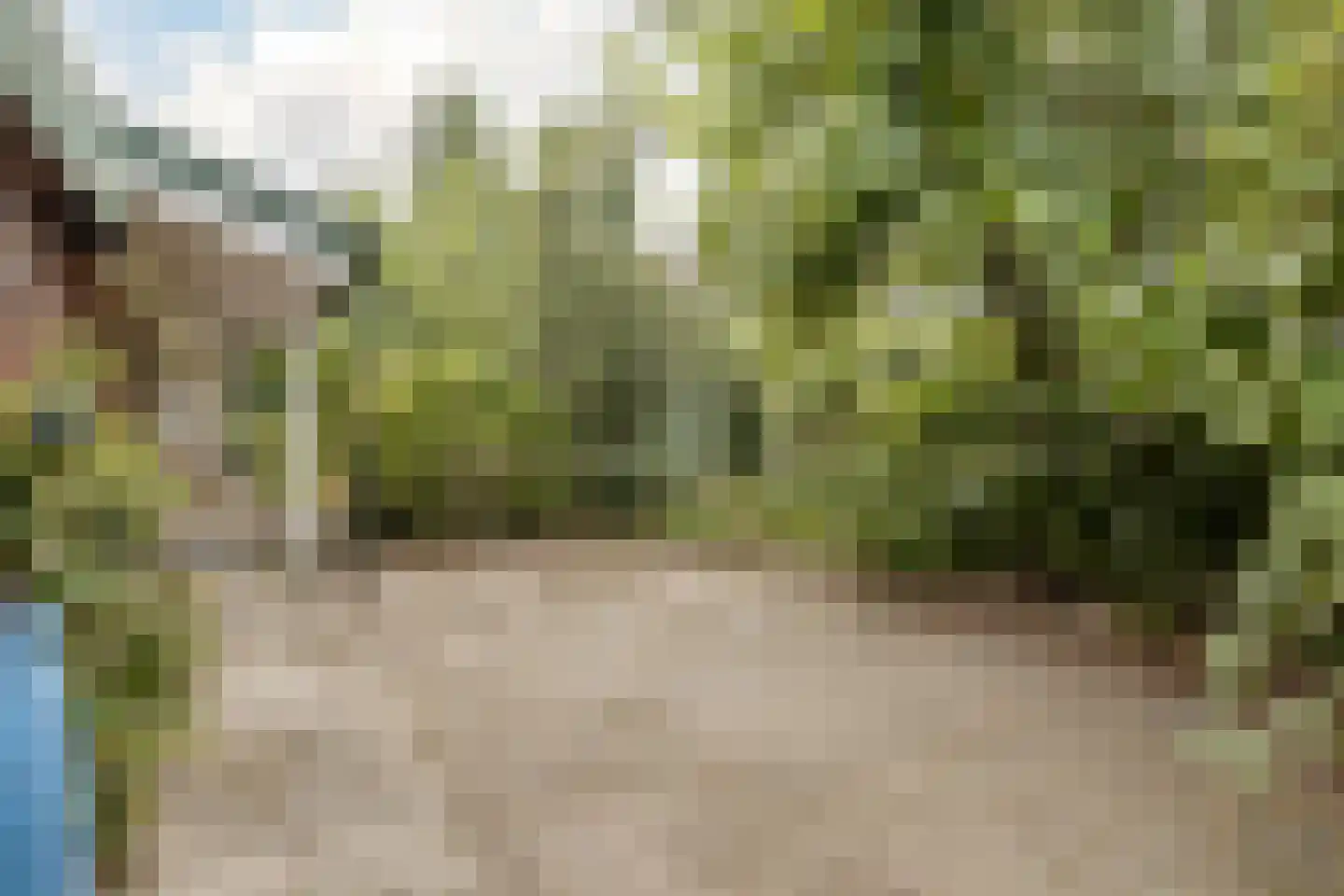 B. Stegemanstraat 3 Winterswijk thumbnail 41