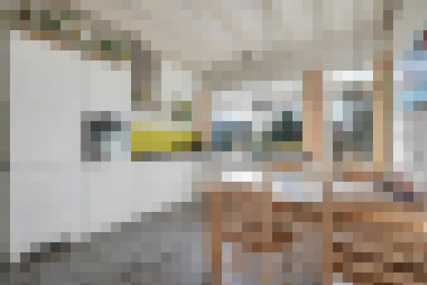 B. Stegemanstraat 42 Winterswijk thumbnail 6