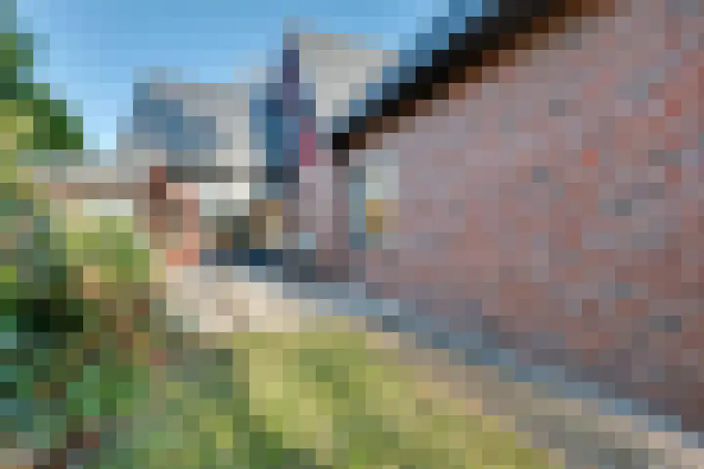 B. Stegemanstraat 42 Winterswijk thumbnail 66