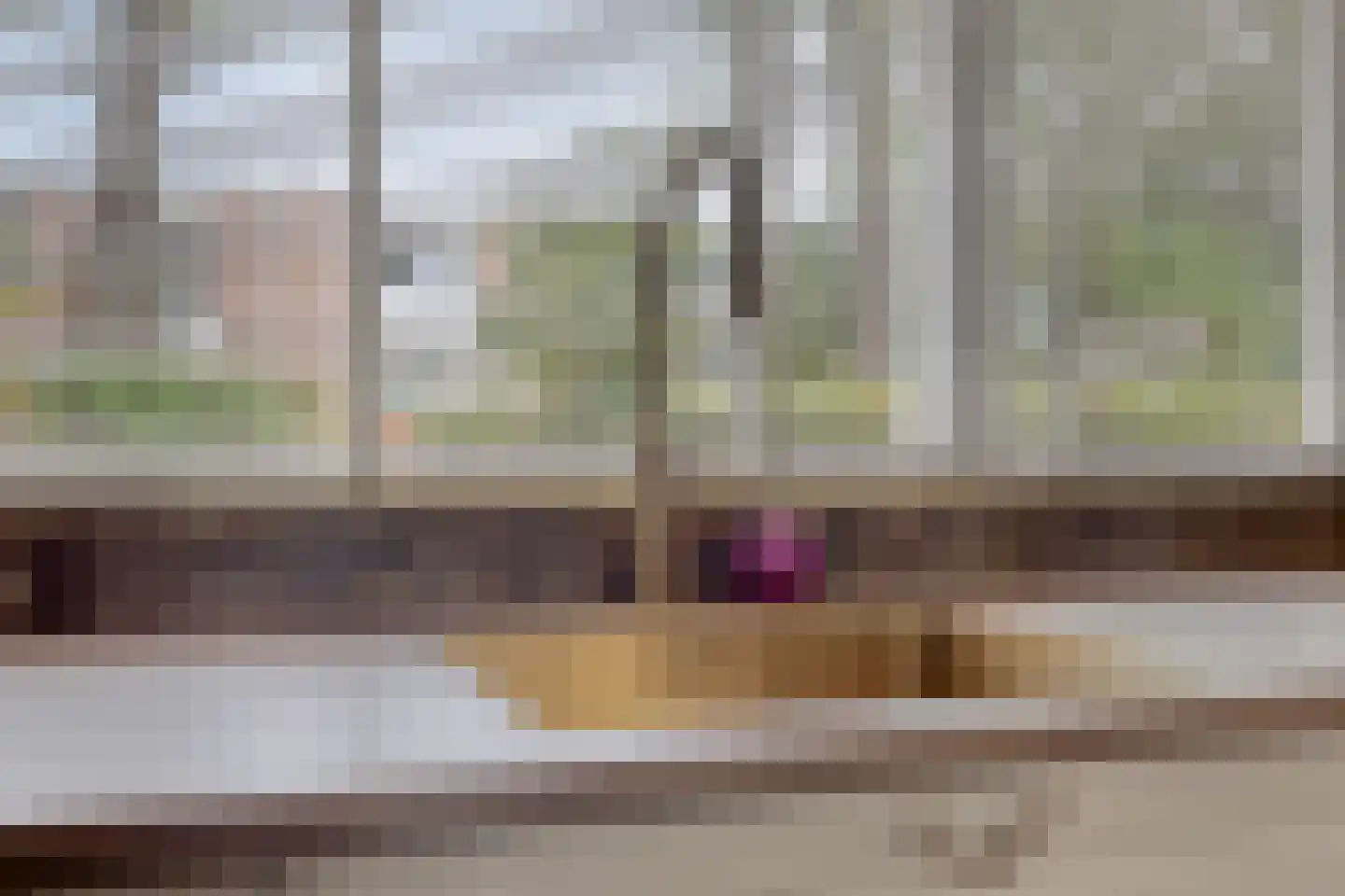 B. Thoenplantsoen 47 Den Haag thumbnail 16