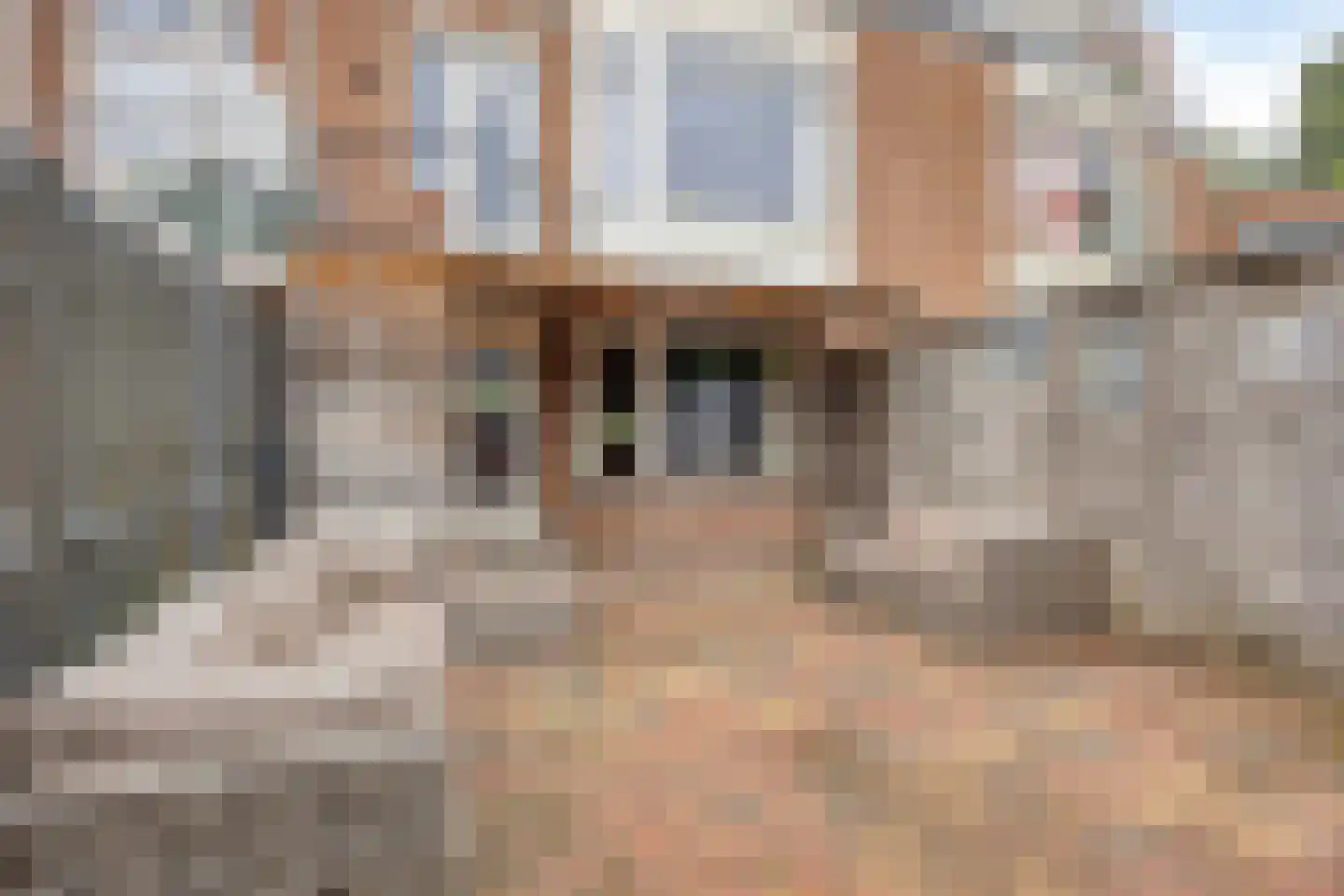 B. Thoenplantsoen 47 Den Haag thumbnail 19