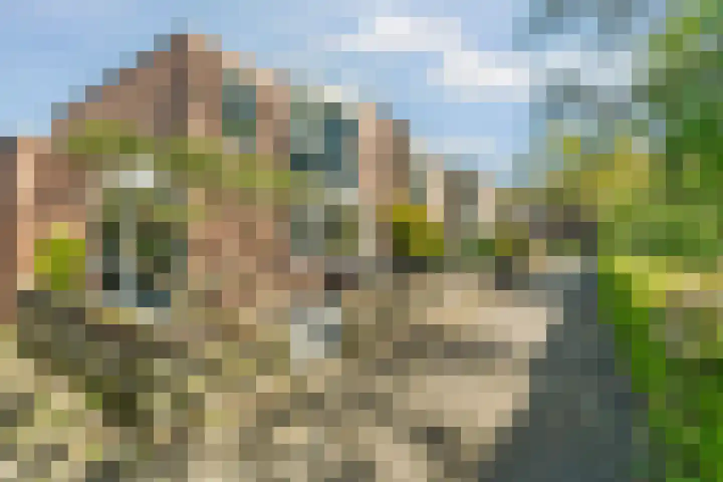 B. Thoenplantsoen 52 Den Haag thumbnail 6