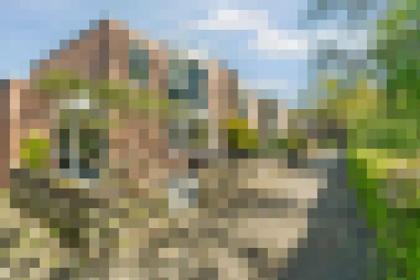 B. Thoenplantsoen 52 Den Haag thumbnail 8