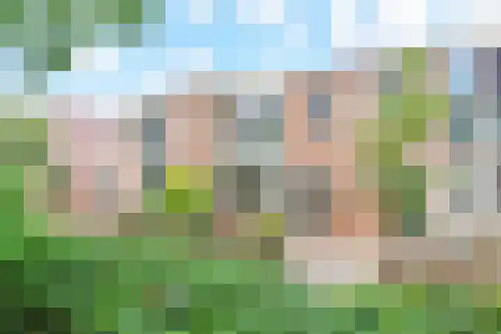 B. Thoenplantsoen 54 in Den Haag