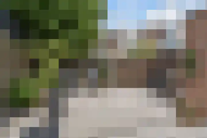 B. Thoenplantsoen 54 Den Haag thumbnail 33