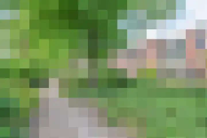 B. Thoenplantsoen 54 Den Haag thumbnail 4