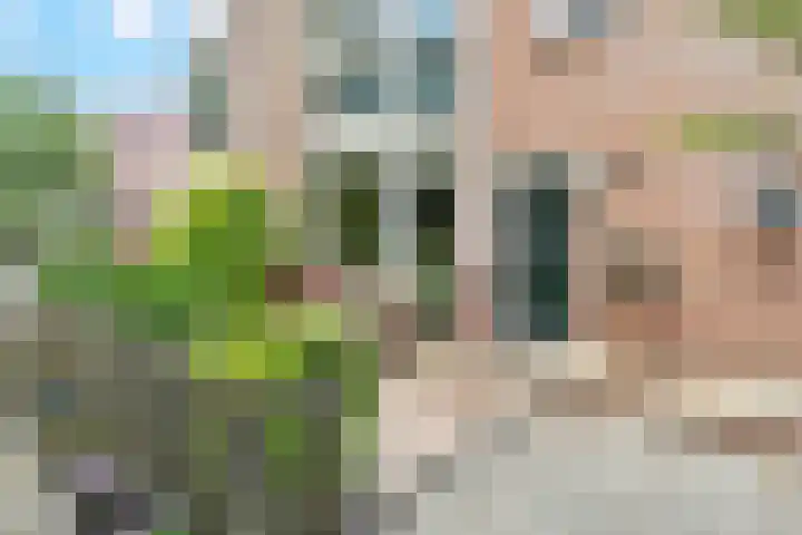 B. Thoenplantsoen 54 Den Haag thumbnail 5