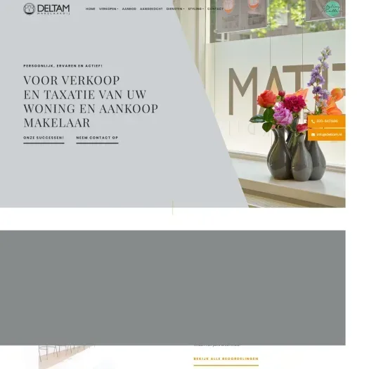 Screenshot van de website van www.deltam.nl