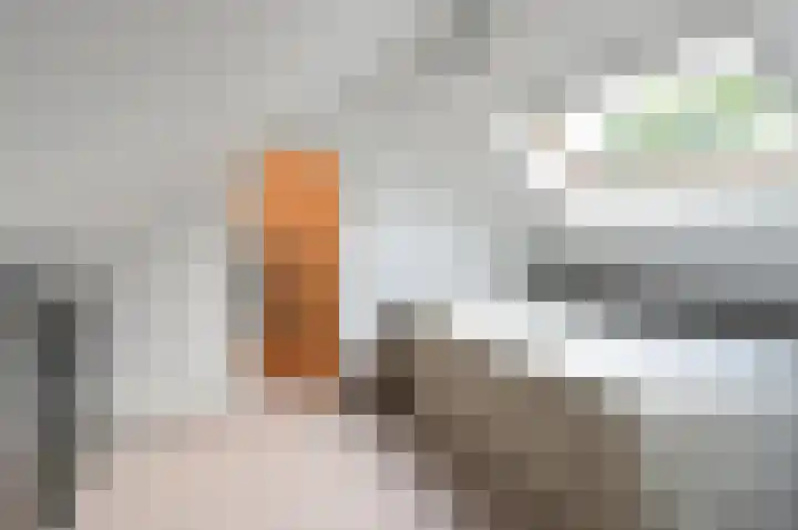 B. van Rooijenstraat 2 Naarden thumbnail 10
