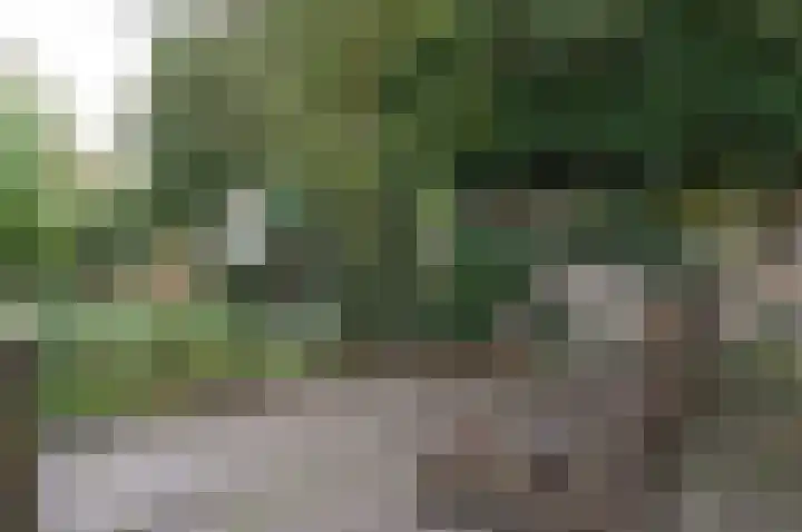 B. van Rooijenstraat 2 Naarden thumbnail 14
