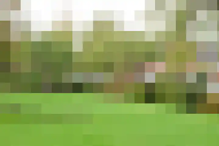 B. van Rooijenstraat 2 Naarden thumbnail 16