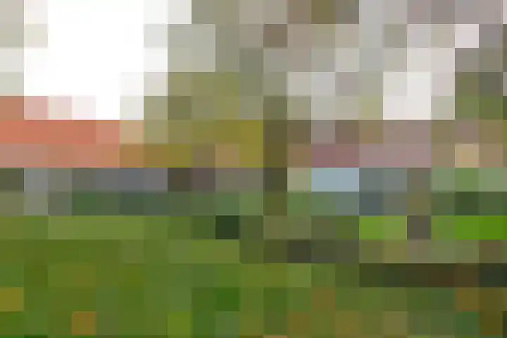 B. van Rooijenstraat 2 Naarden thumbnail 17