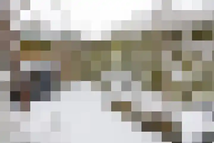 B. van Rooijenstraat 20 Naarden thumbnail 15