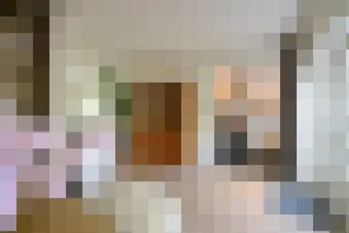 B. van Rooijenstraat 60 Naarden thumbnail 12