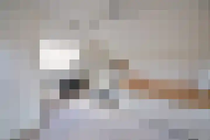 B. van Rooijenstraat 60 Naarden thumbnail 23