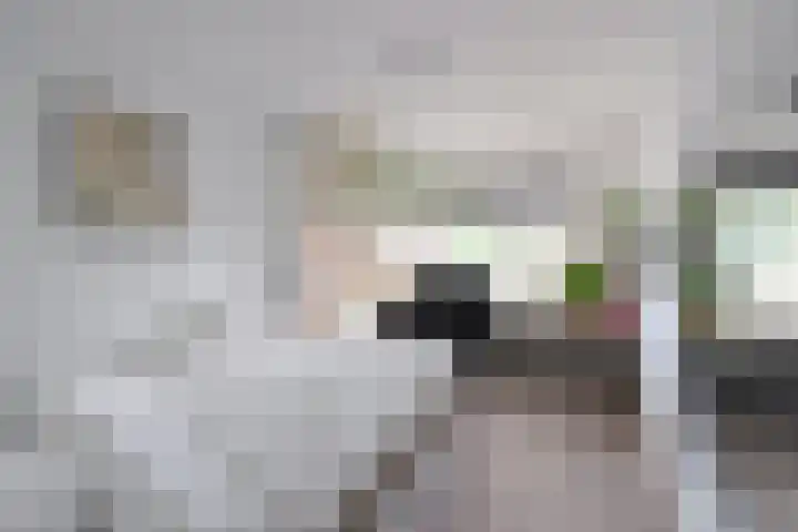 B. van Rooijenstraat 60 Naarden thumbnail 24