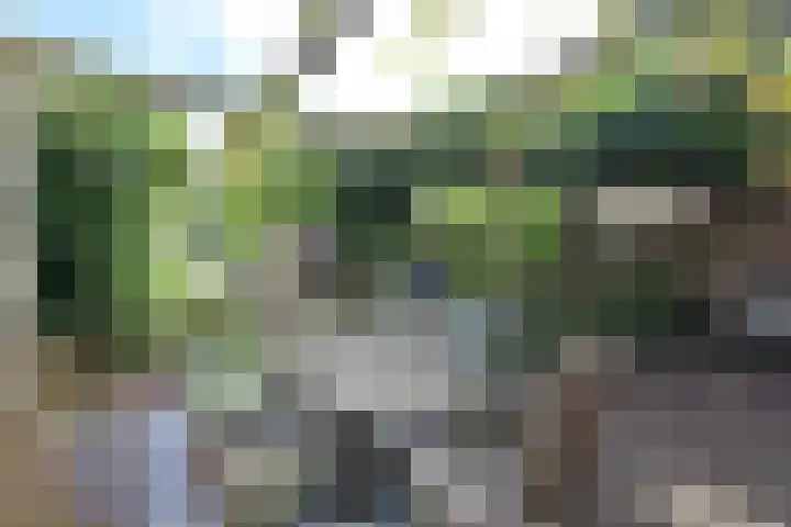 B. van Rooijenstraat 60 Naarden thumbnail 27
