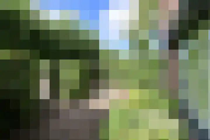 B. van Rooijenstraat 60 Naarden thumbnail 4