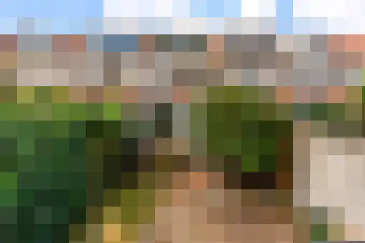 B. van Rooijenstraat 74 Naarden thumbnail 42