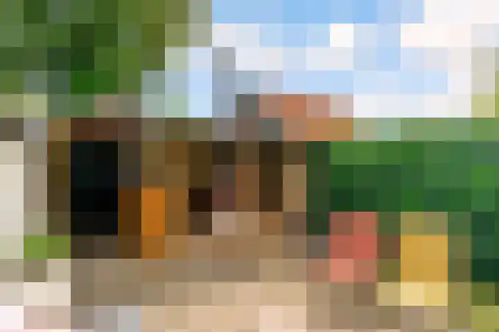 B. van Rooijenstraat 74 Naarden thumbnail 45